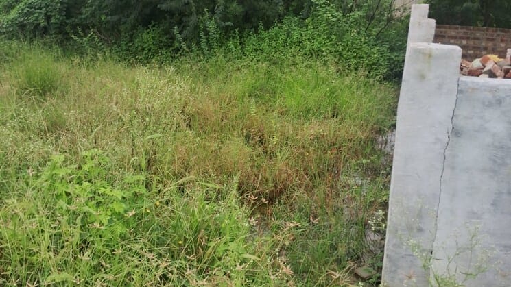 100 Sq.Yd. Plot in Sohna Gurgaon