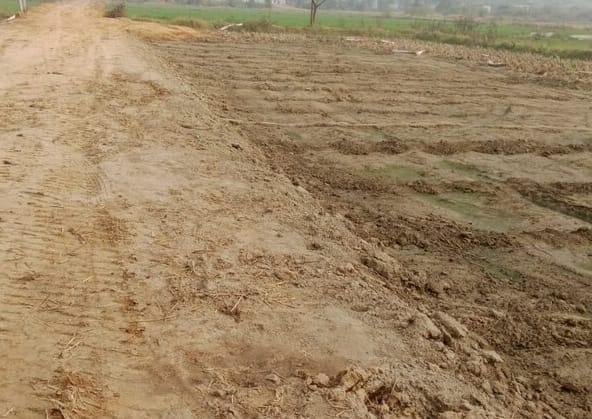 Plot in Sohna Gurgaon