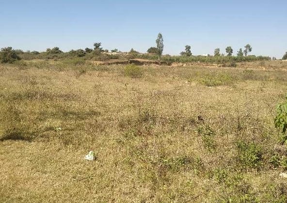 Plot in Sohna Gurgaon