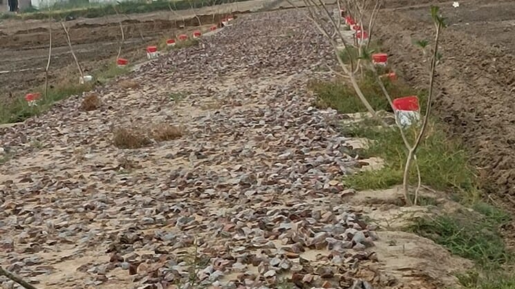 Plot in Sohna Sector 16 Gurgaon