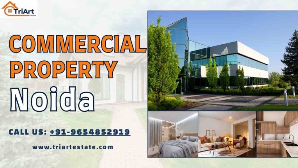 commercial property in noida​
