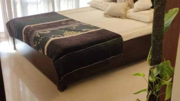 1 BHK in MVN The Athens Sector 5 Gurgaon