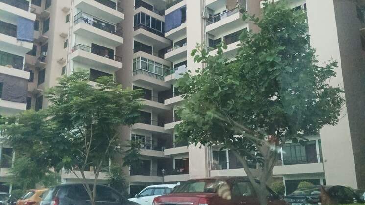 1 Bedroom 340 Sq.Ft. Apartment in Sohna Sector 5 Gurgaon