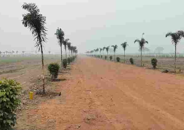 100 Sq. Yard Plot for Sale in Sohna Gurgaon