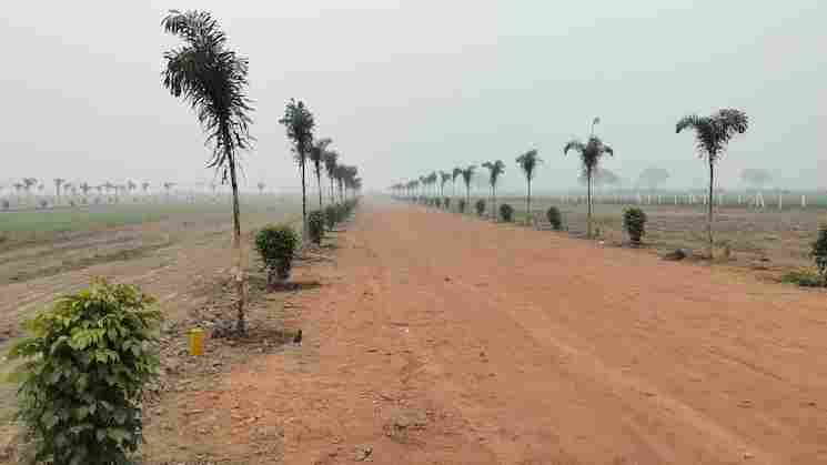 100 Sq. Yard Plot for Sale in Sohna Gurgaon