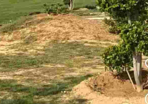 50 Sq. Yards Plot for Sale in Dhankot, Gurgaon