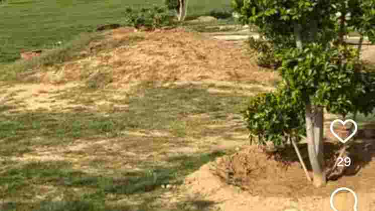 50 Sq. Yards Plot for Sale in Dhankot, Gurgaon