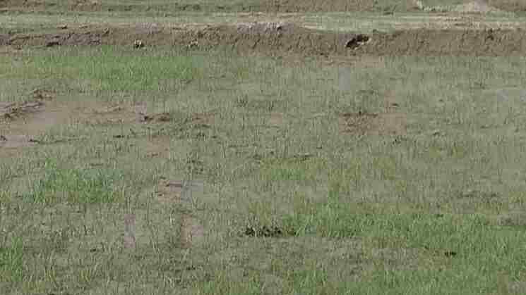 60 Sq. Yard Plot in Sector 150 Noida