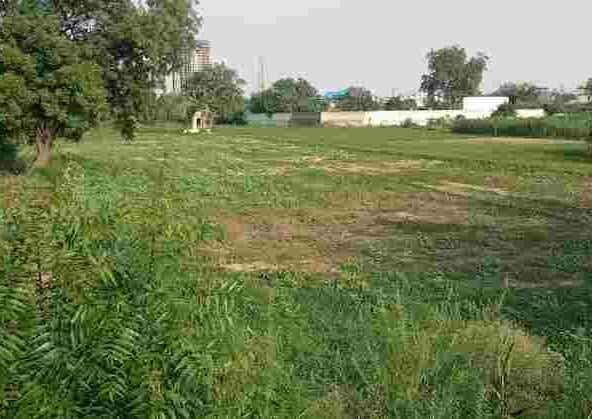 7 Acre Development Plot for Sale in Dharampur, Gurgaon