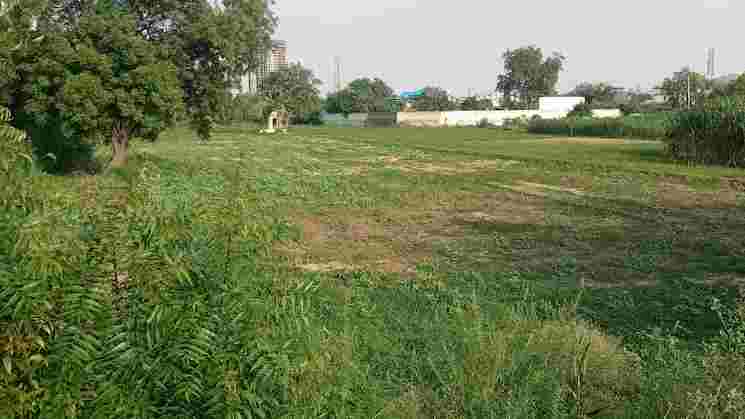 7 Acre Development Plot for Sale in Dharampur, Gurgaon