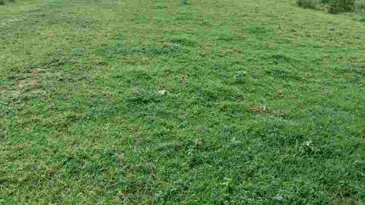 Commercial Land for Sale in Faridabad