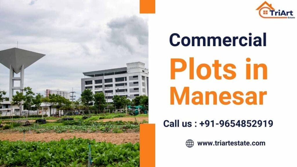 Commercial Plots in Manesar