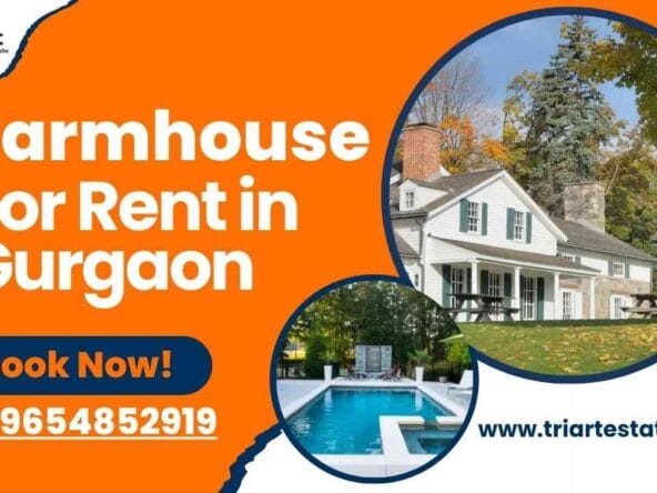 Farm House for Rent in Gurgaon