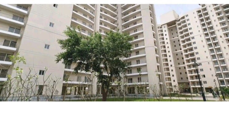 2 BHK Flat for Sale in Faridabad