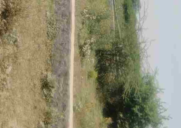 Park Facing Plot for Sale in Noida Sector 148