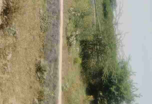 Park Facing Plot for Sale in Noida Sector 148