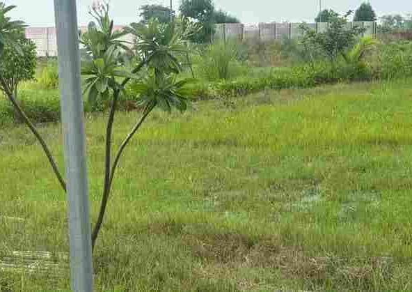 Plot for Sale in Faridabad