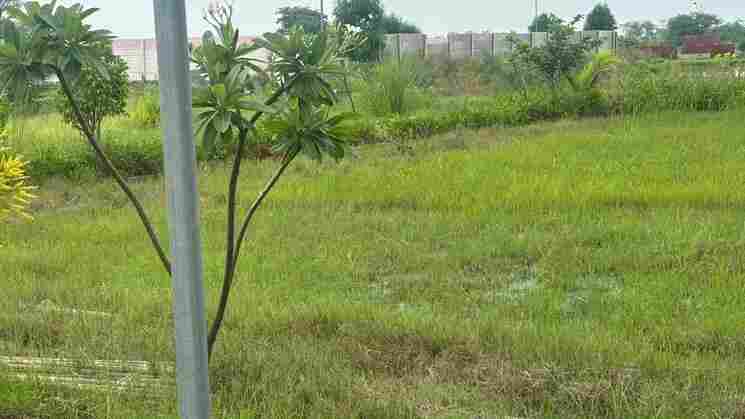 Plot for Sale in Faridabad