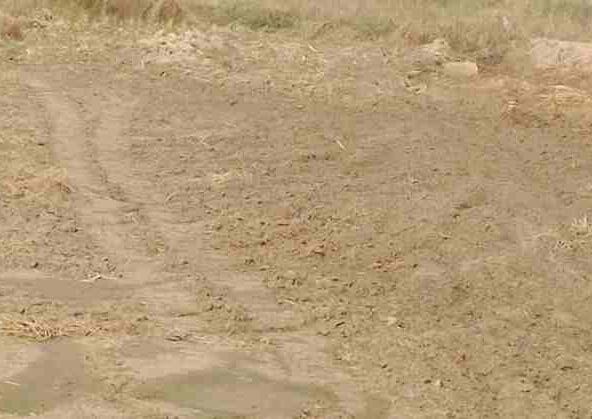 Prime 50 Sq. Yard Plot for Sale in Sohna Gurgaon