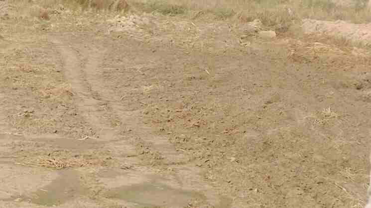 Prime 50 Sq. Yard Plot for Sale in Sohna Gurgaon