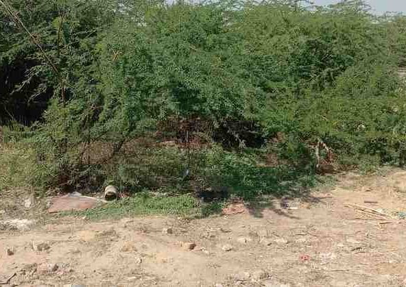 Prime Plot on Alwar Bhiwadi Road, Bhiwadi