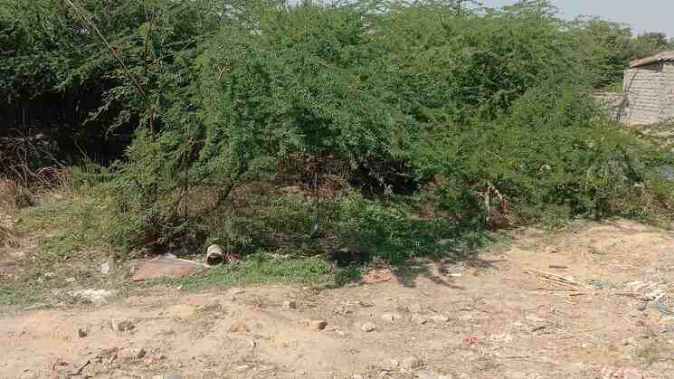Prime Plot on Alwar Bhiwadi Road, Bhiwadi