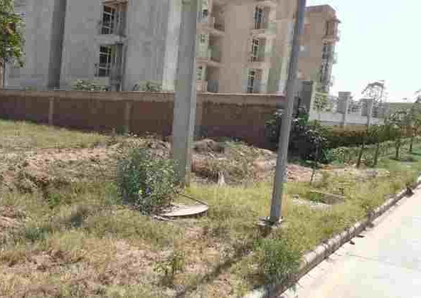 Yards Plot in Sector 64 Bhiwadi